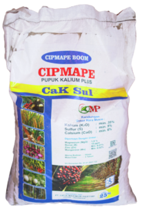 CIPMAPE CAK SUL