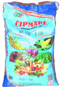 CIPMAPE PHOSPATE (20% abu-abu)