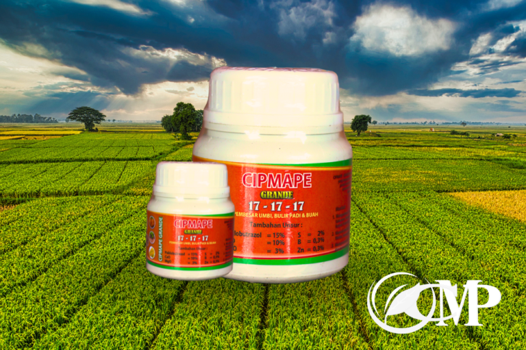 Read more about the article ZPT Cipmape Grande, Solusi Unggul Pembesar Umbi, Bulir Padi & Buah
